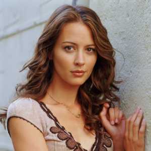 Amy Acker