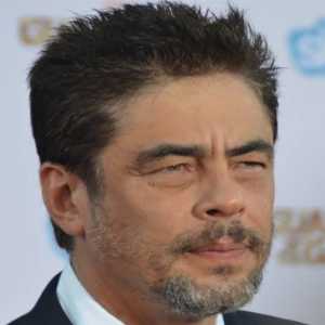 Benicio del Toro
