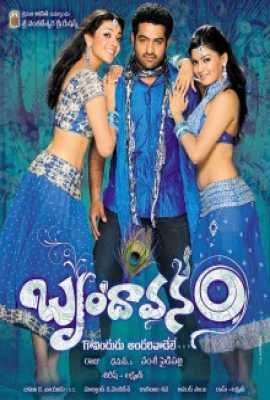 Brindavanam (The Super Khiladi)