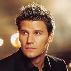 David Boreanaz