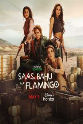 Saas, Bahu Aur Flamingo