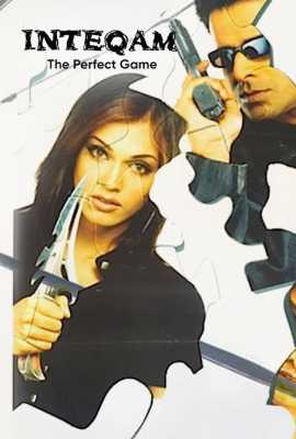 Inteqam: The Perfect Game