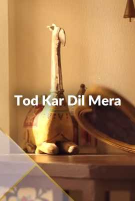 Tod Kar Dil Mera